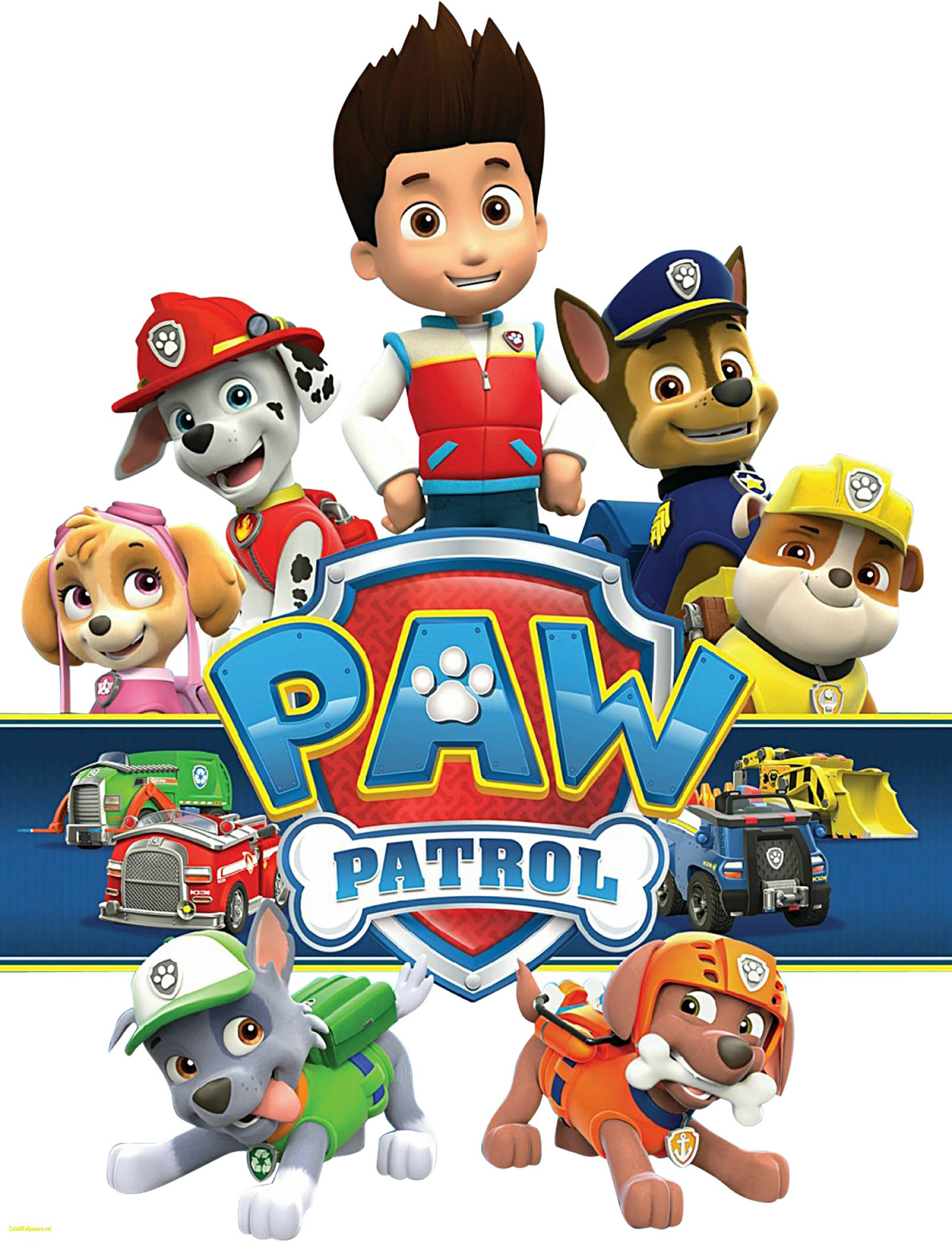 Картинки щенячий. Paw Patrol. 4 Щенячий патруль. Собачий патруль мультик герои. Капитан Черношерст Щенячий патруль.