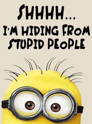 Stuart The Minion Shhhh…I’m Hiding From Stupid People Iron On Transfer #6