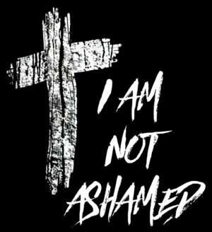 I Am Not Ashamed Iron On Transfer #36