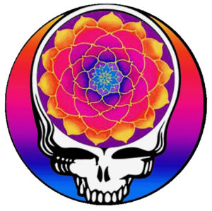 The Grateful Dead Iron On Transfer #12