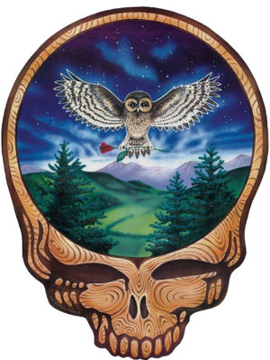The Grateful Dead Iron On Transfer #13
