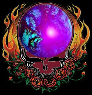 The Grateful Dead Iron On Transfer #15