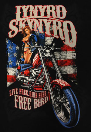 Lynyrd Skynyrd Free Bird Iron On Transfer #1