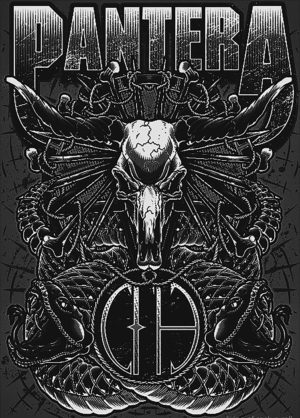 Pantera Iron On Transfer #4