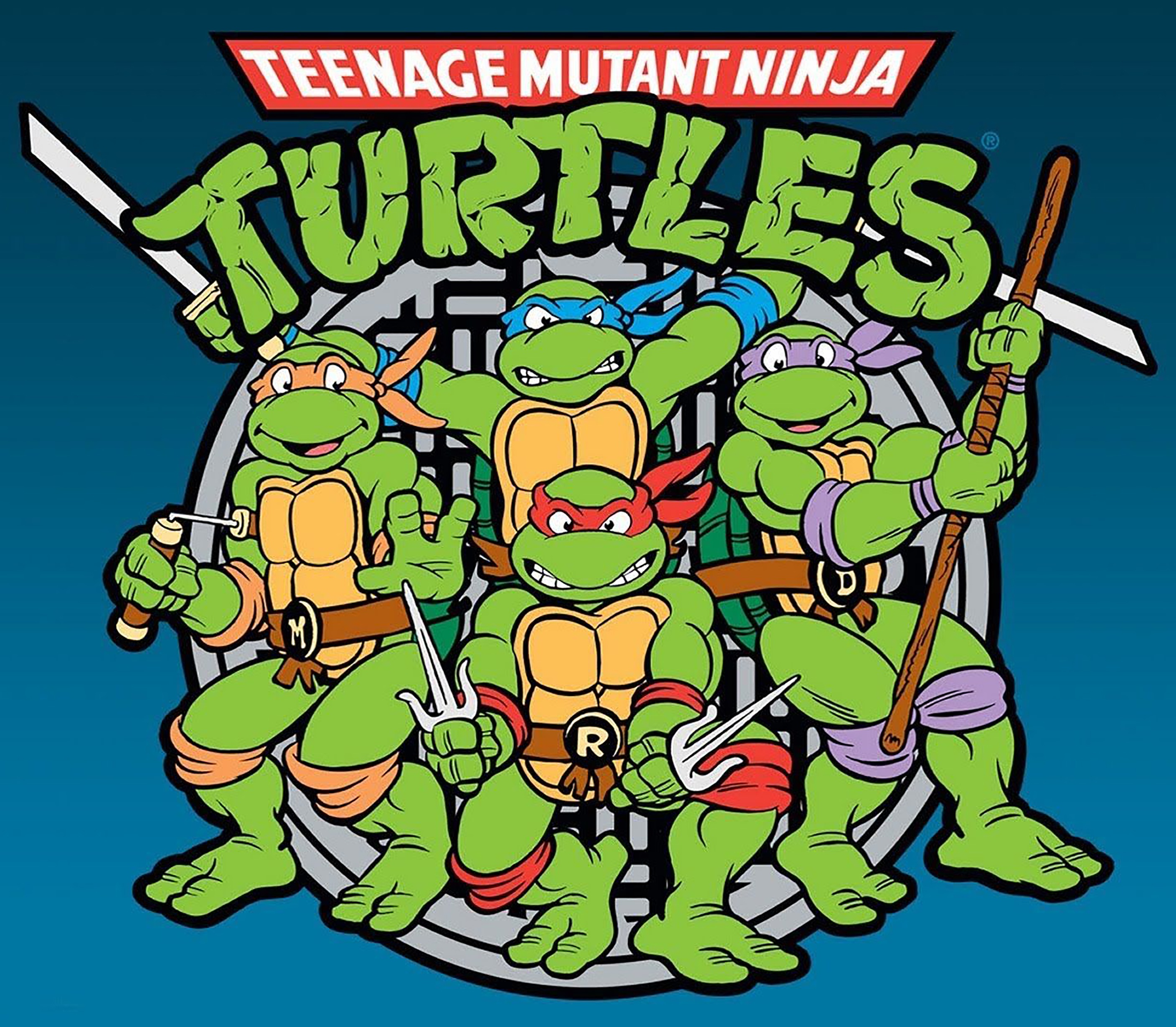 Teenage Mutant Ninja Turtles Iron On Transfer