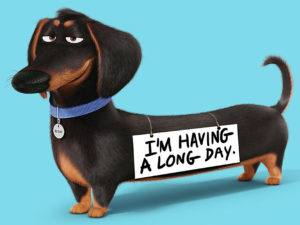 Buddy The Secret Life Of Pets Iron On Transfer #1