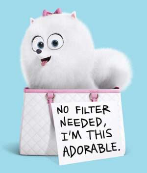 Gidget The Secret Life Of Pets Iron On Transfer #5