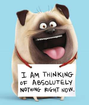 Mel The Secret Life Of Pets Iron On Transfer #6