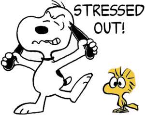 Stressed Out! Snoopy and Woodstock Charlie Brown Iron On Transfer #22
