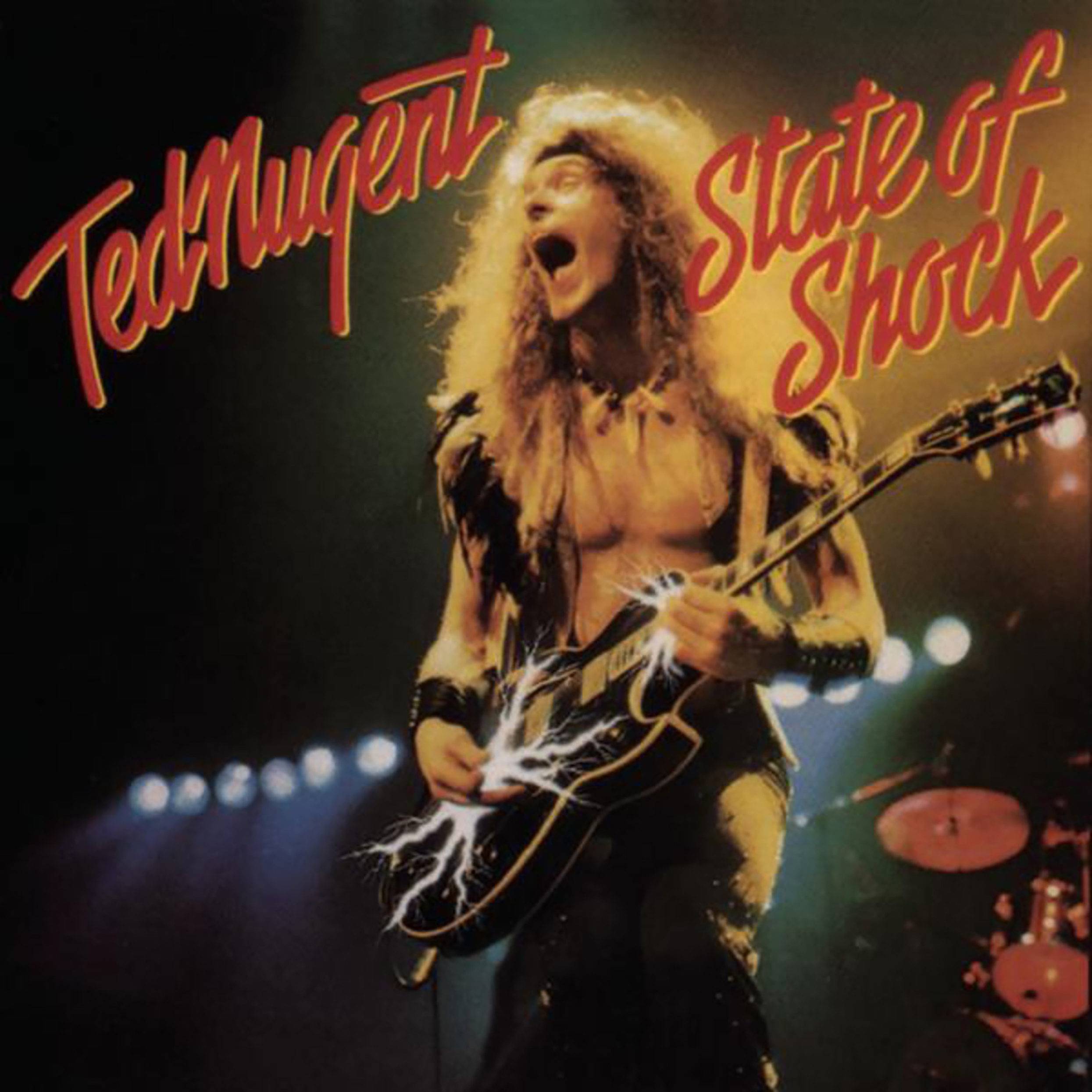 Ted Nugent State Of Shock Iron On Transfer #1