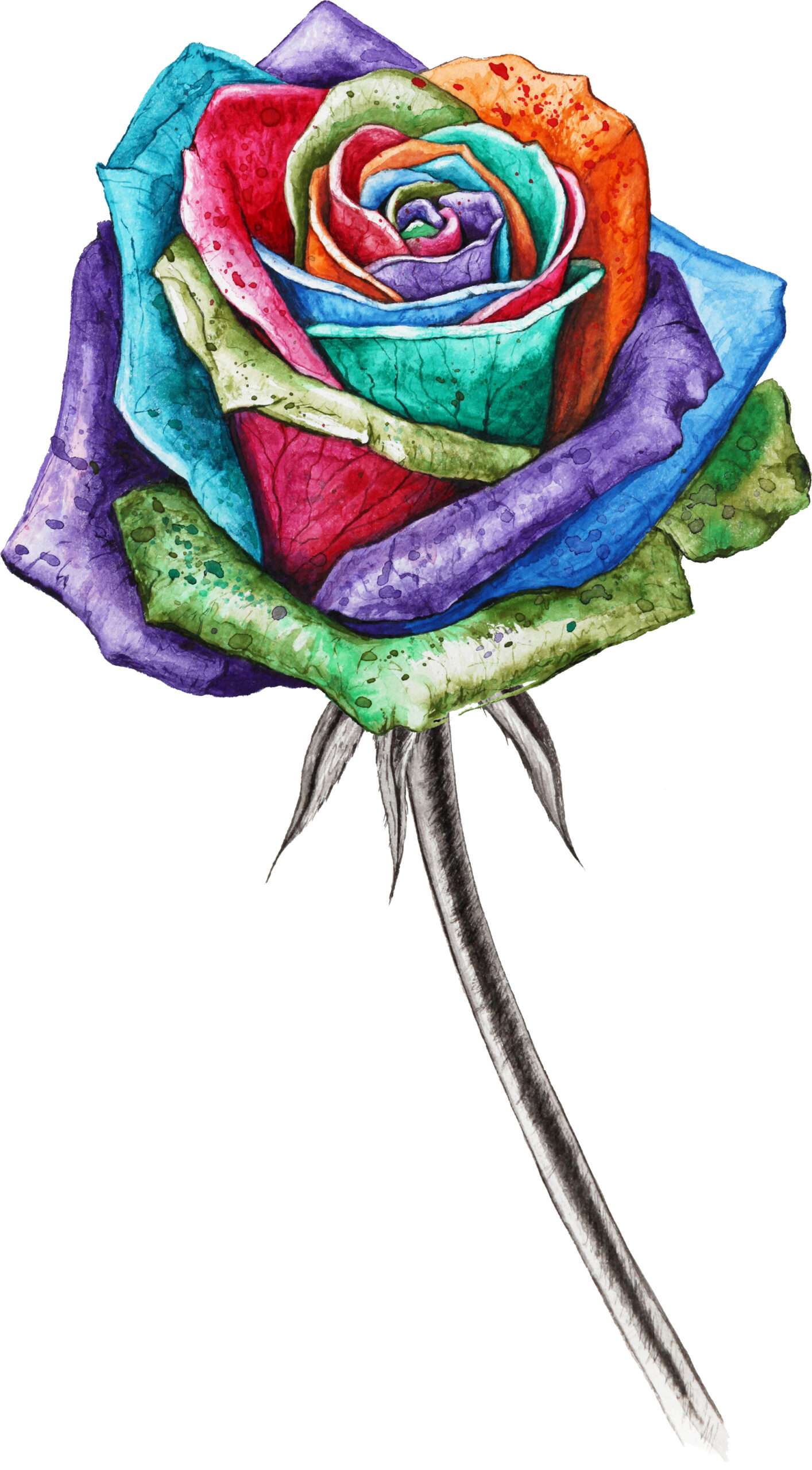 Colorful Rose Flower Iron On Transfer #5