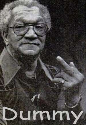 Fred Sanford Sanford and Son Dummy Iron On Transfer #2