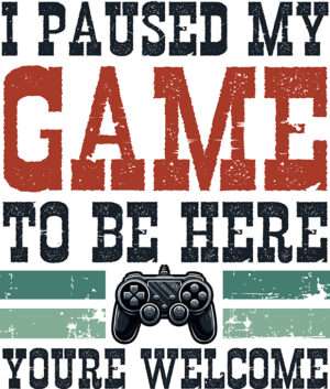 I Paused My Game To Be Here You’re Welcome Iron On Transfer #1